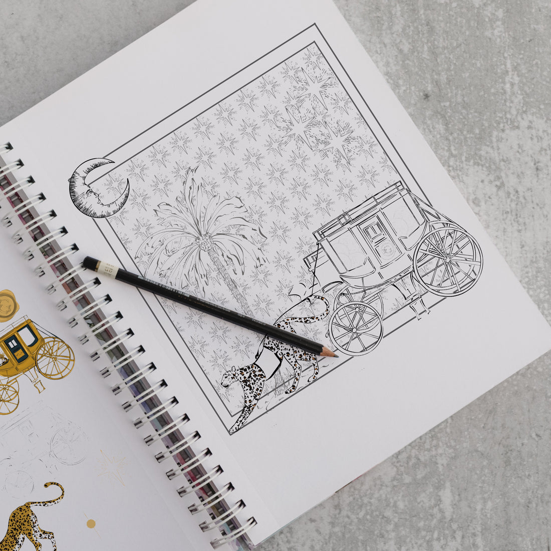 The Tale Behind The 'Il Gattopardo a Notte' Scarf